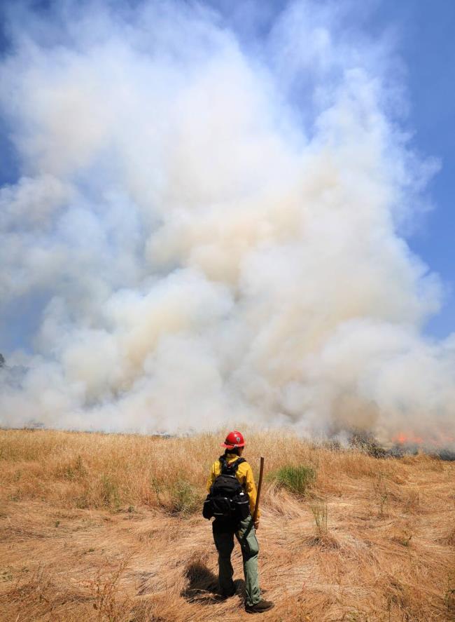 Audubon Canyon Ranch fire ecologist Dr. Sasha Berleman watches the progress of a prescribed burn at Bouverie Preserve, Friday, June 14, 2019 in Glen Ellen. (Kent Porter / The Press Democrat) 2019